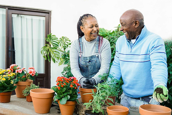 African American senior couple planting flowers